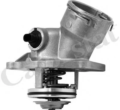 Термостат, охлаждающая жидкость CALORSTAT by Vernet купить