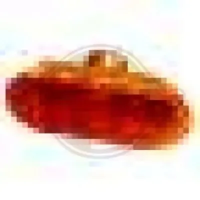 Фонарь указателя поворота DIEDERICHS купить