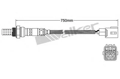 Лямда-зонд WALKER PRODUCTS купить