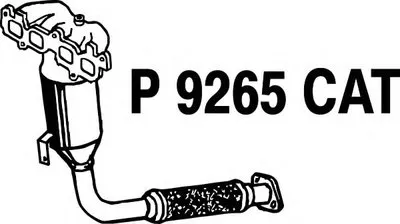 Катализатор для переоборудования FENNO купить