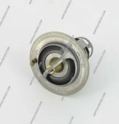 Термостат, охлаждающая жидкость NPS купить