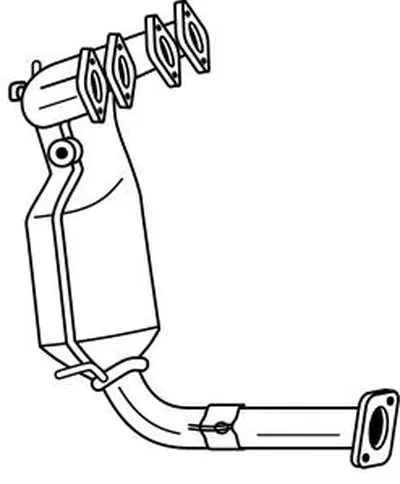 Катализатор для переоборудования SIGAM купить