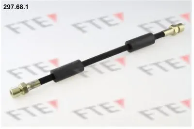 Тормозной шланг FTE купить