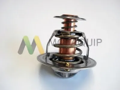 Термостат, охлаждающая жидкость MOTAQUIP купить