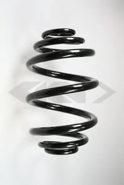 винтовая пружина SPIDAN купить