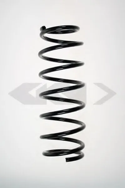 винтовая пружина SPIDAN купить