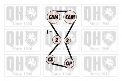 Ремень ГРМ QUINTON HAZELL купить