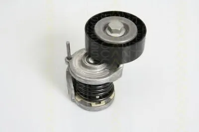 Натяжная планка, поликлиновой ремень TRISCAN купить