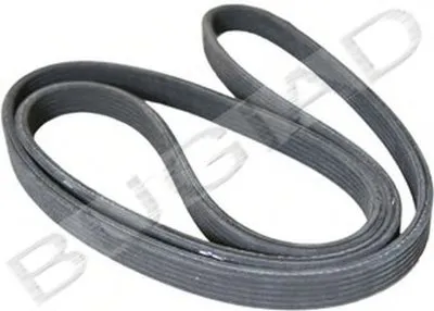 V-Ribbed Belts BUGIAD купить