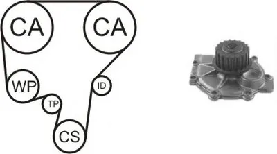 Водяной насос + комплект зубчатого ремня AIRTEX купить