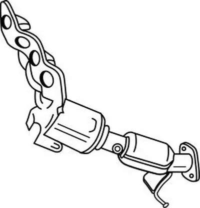 Катализатор для переоборудования SIGAM купить