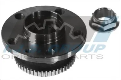 Комплект подшипника ступицы колеса IJS GROUP купить