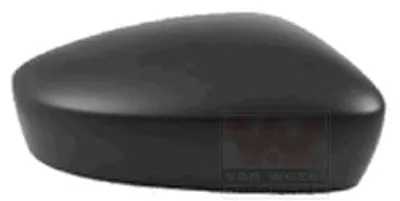 Покрытие, внешнее зеркало VAN WEZEL купить