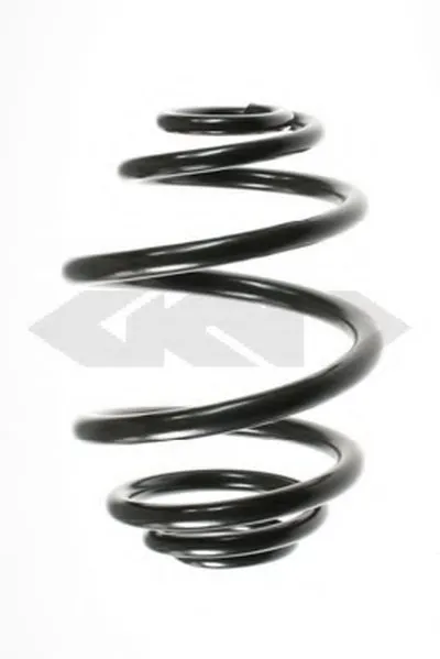 винтовая пружина SPIDAN купить