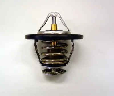 Термостат, охлаждающая жидкость WAHLER купить