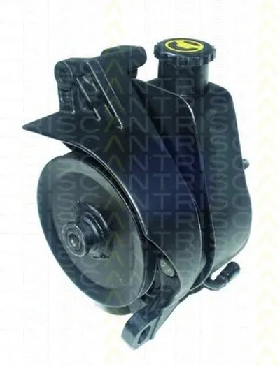 Гидравлический насос, рулевое управление TRISCAN купить