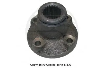 Конец вала, приводной вал BIRTH купить