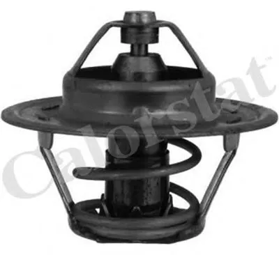 Термостат, охлаждающая жидкость CALORSTAT by Vernet купить