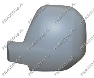 Покрытие, внешнее зеркало PRASCO купить