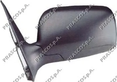 Наружное зеркало PRASCO купить