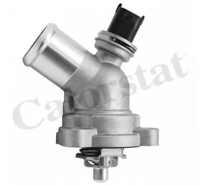 Термостат, охлаждающая жидкость CALORSTAT by Vernet купить