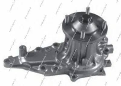 Водяной насос NPS купить