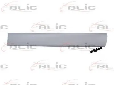 Облицовка / защитная накладка, дверь BLIC купить