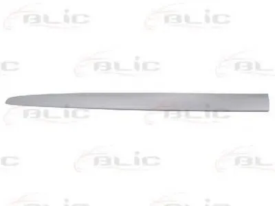 Облицовка / защитная накладка, дверь BLIC купить