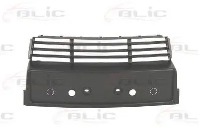 Кронштейн щитка номерного знака BLIC купить