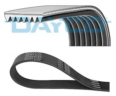 V-Ribbed Belts DAYCO купить