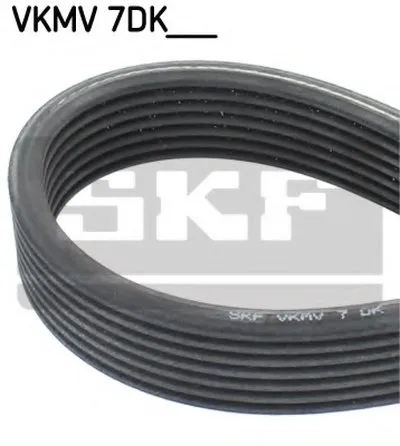 V-Ribbed Belts