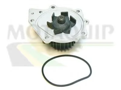 Водяной насос MOTAQUIP купить