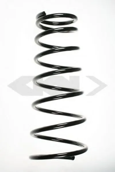 винтовая пружина SPIDAN купить