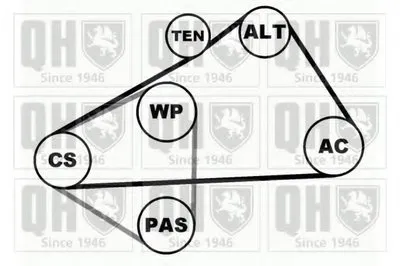 Поликлиновой ременный комплект QUINTON HAZELL купить
