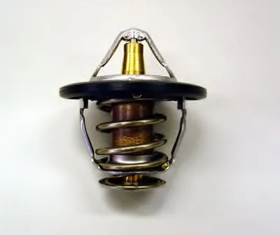 Термостат, охлаждающая жидкость WAHLER купить