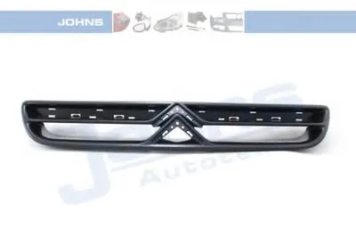 Решетка радиатора JOHNS купить