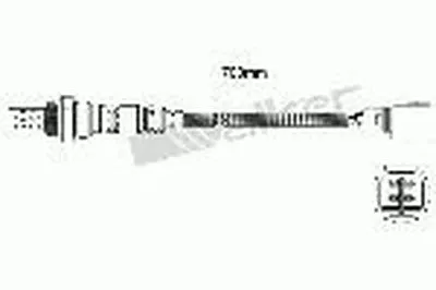 Лямда-зонд ASHUKI купить