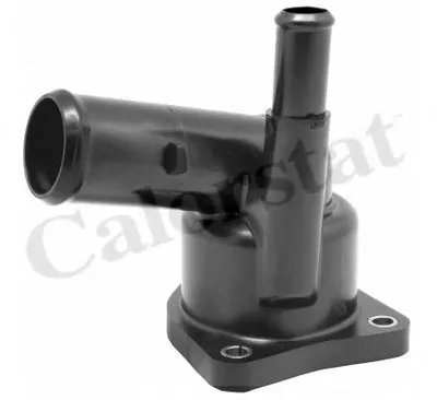 Термостат, охлаждающая жидкость CALORSTAT by Vernet купить