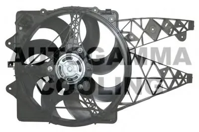 Вентилятор, охлаждение двигателя AUTOGAMMA купить