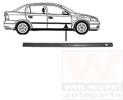 Облицовка / защитная накладка, дверь VAN WEZEL купить
