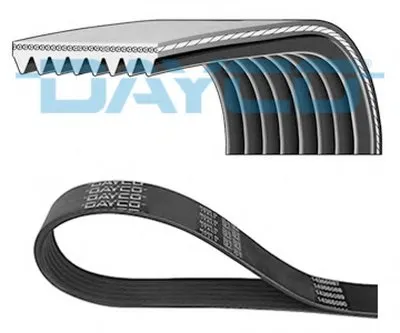 V-Ribbed Belts DAYCO купить