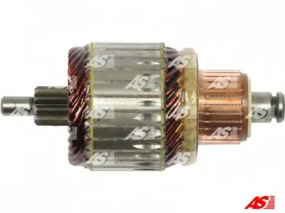 Якорь, стартер