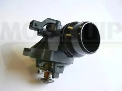 Термостат, охлаждающая жидкость MOTAQUIP купить