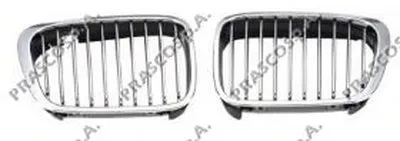 Решетка радиатора Premium PRASCO купить