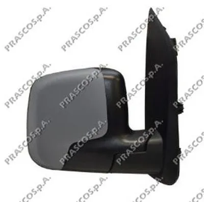 Наружное зеркало PRASCO купить