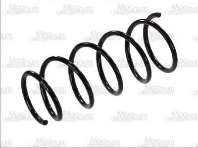 винтовая пружина Magnum Technology купить