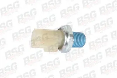 Выключатель с гидропроводом BSG купить