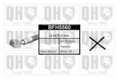 Тормозной шланг QUINTON HAZELL купить