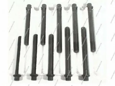 Комплект болтов головки цилидра NPS купить