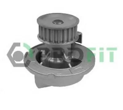 Водяной насос PROFIT купить